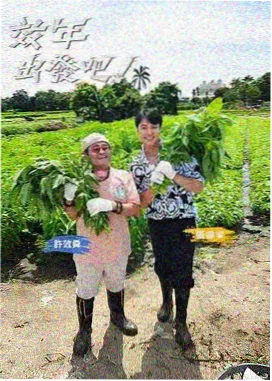 美食美食综艺